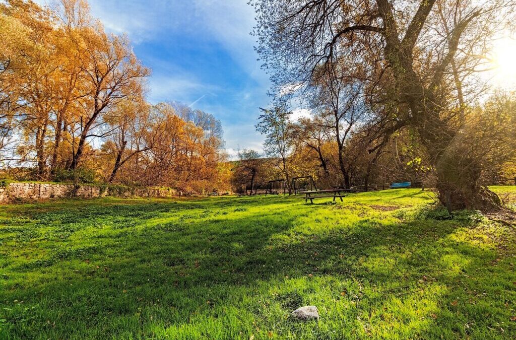 “Great Salt Lake Community Involvement” | The Great Salt Lake:…