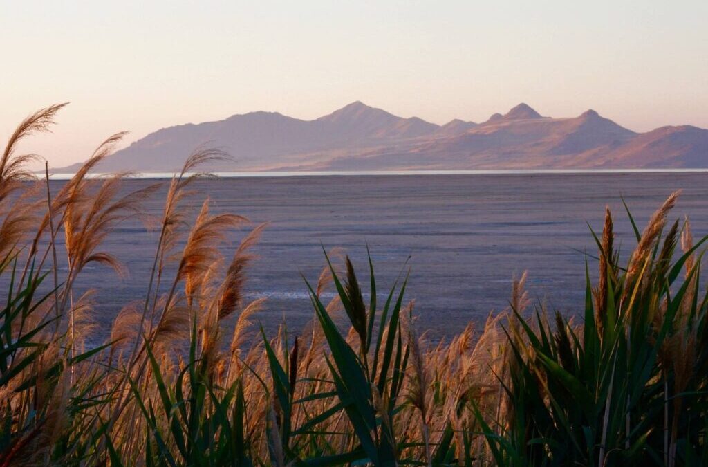 Great Salt Lake, / The Great Salt Lake: A Giant…