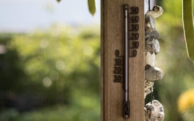 Impact Of Climate Change On Laguna Salada » The Laguna…