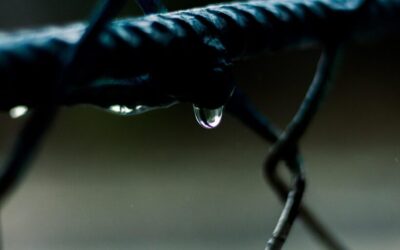 Innovative Water Cycle Repair Methods | Colorado’s Water Woes: Can…