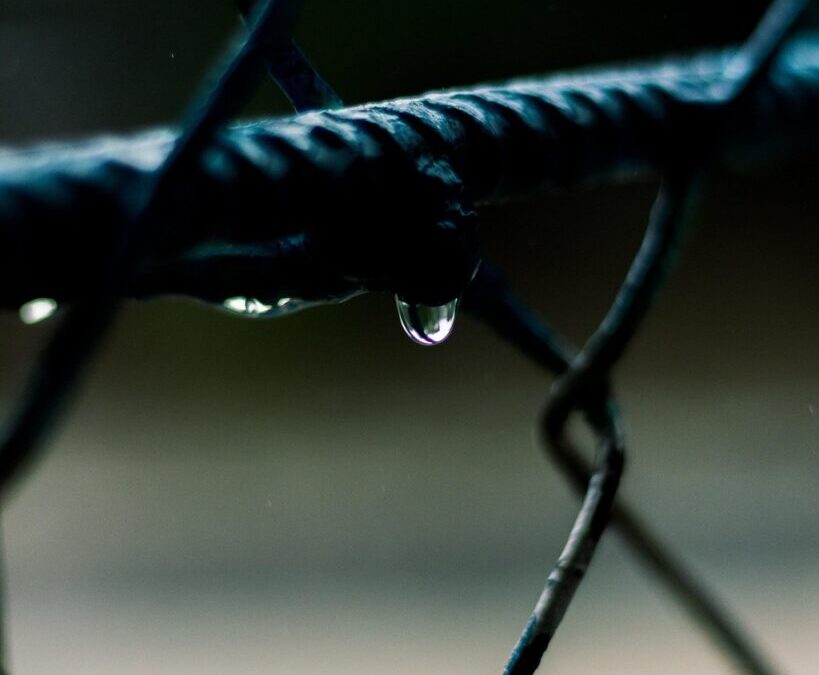 Innovative Water Cycle Repair Methods | Colorado’s Water Woes: Can…