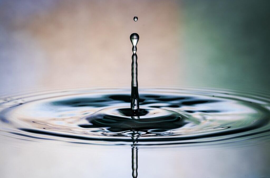 Move Water For Agricultural Purposes | 💧 The Journey Of…