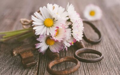 Policy And Legislation: Government Actions And Proposed Laws To Address…