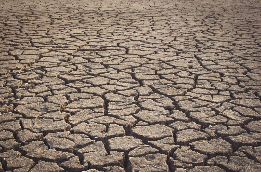 Strategies To Stop Lake Drought: Utah’s Shrinking Lakes: Can We…