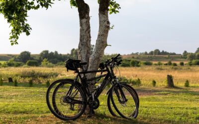 Water Cycle Improvement / The Great Basin: A Thirsty Land…