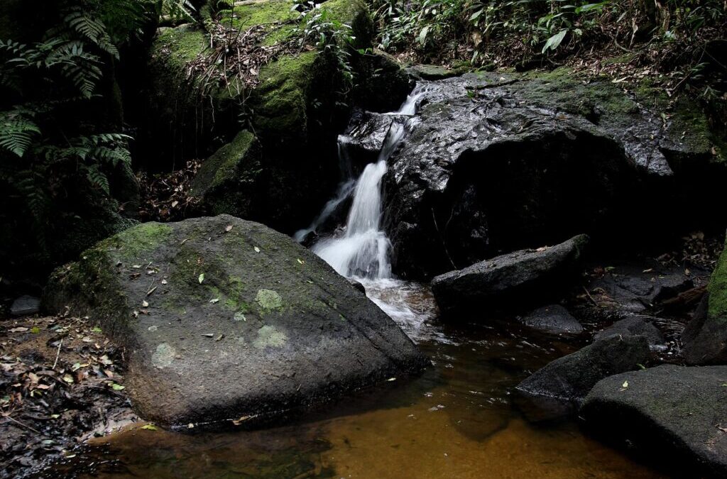 Water Conservation Techniques In The Great Basin / The Laguna…