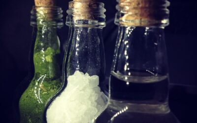 Water Treatment Solutions For Laguna Salada: The Laguna Salada’s Water…