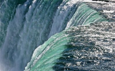 Water Treatment Solutions For Laguna Salada » Laguna Salada: A…