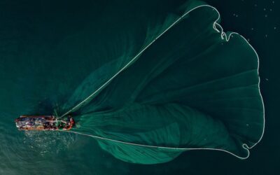 Great Basin Desert » The Amazing Journey Of Water: A…