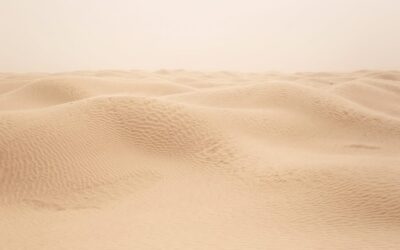 Great Basin Desert ~ The Laguna Salada: A Desert Oasis…