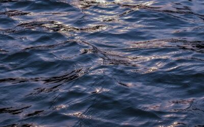 Colorado River Water Cycle ~ “`html Laguna Salada’s Water Story:…