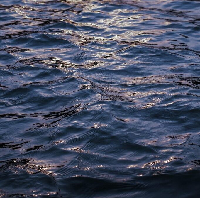 Colorado River Water Cycle ~ “`html Laguna Salada’s Water Story:…