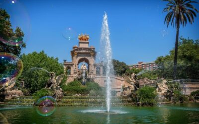 How Laguna Salada Affects The Great Basin Water Cycle /…