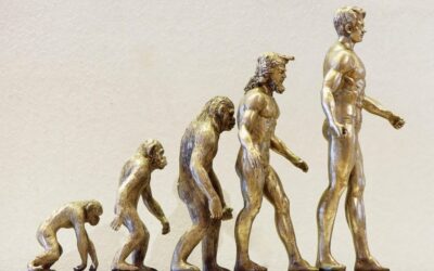 Water Cycle Management For Sustainable Development ~ “`html The Great…