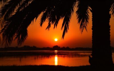 Laguna Salada Mexicali – A Desert’s Thirst: Unraveling The Laguna…