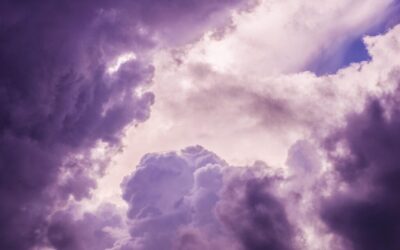 Active Climate Rescue Initiative | Unlocking The Desert’s Secrets: The…