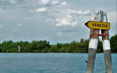 Benefits Of Water Reclamation In Laguna Salada » The Desert’s…