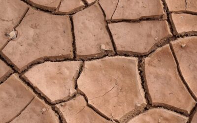 Climate Resilience / A Desert’s Thirst: The Laguna Salada Story…