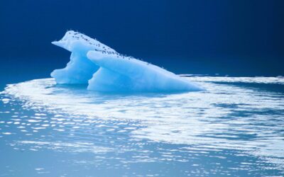 Climate Resilience | Quick Look Inside Ever Wondered Where Water…