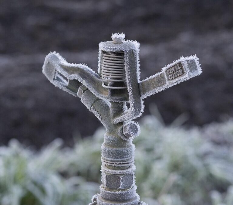 Drip Irrigation Solutions For Gardens » Okay, Here’s A Draft…