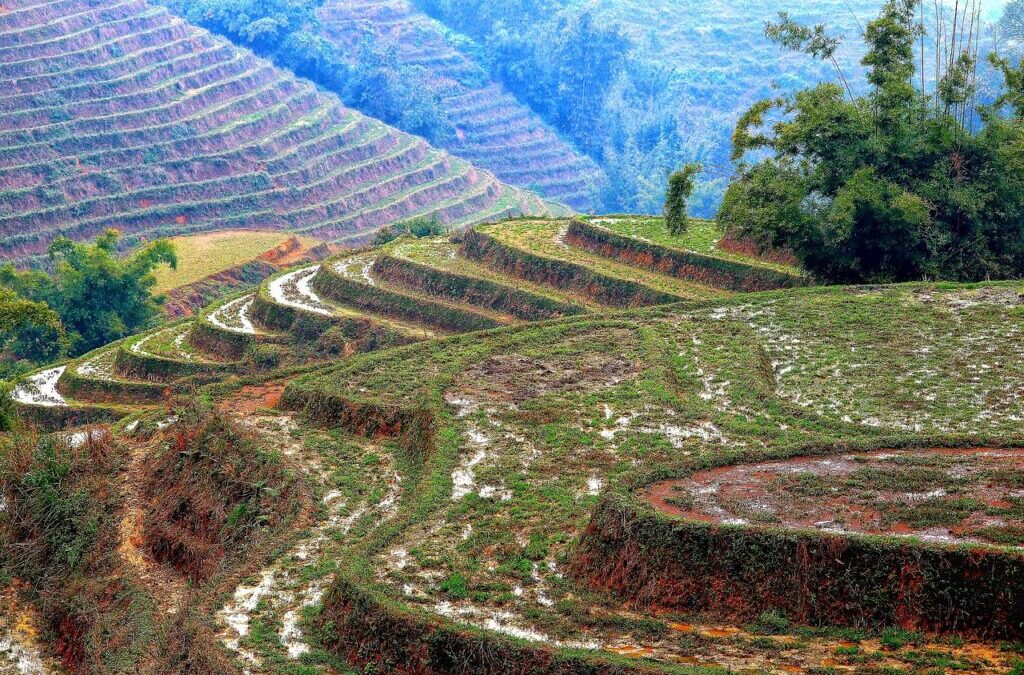 Efficient Irrigation Systems For Farms – “`html The Great Basin’s…