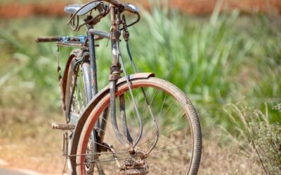 Efficient Water Cycle Reclamation » 💧 Quick Look 💧 Ever…