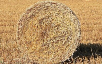 Great Basin – Water Cycle Solutions » The Great Basin’s…