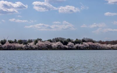 “Great Basin Ecological Research” | Okay, Here’s The Article Crafted…