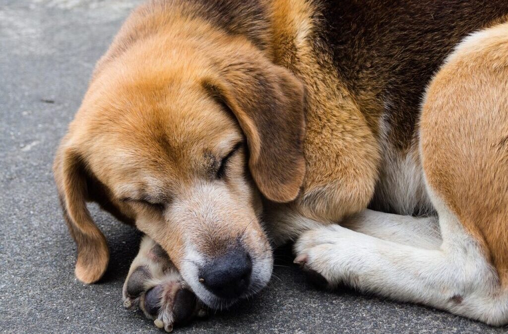 “Great Basin Long-term Water Plans” | Okay, Here’s An Article…