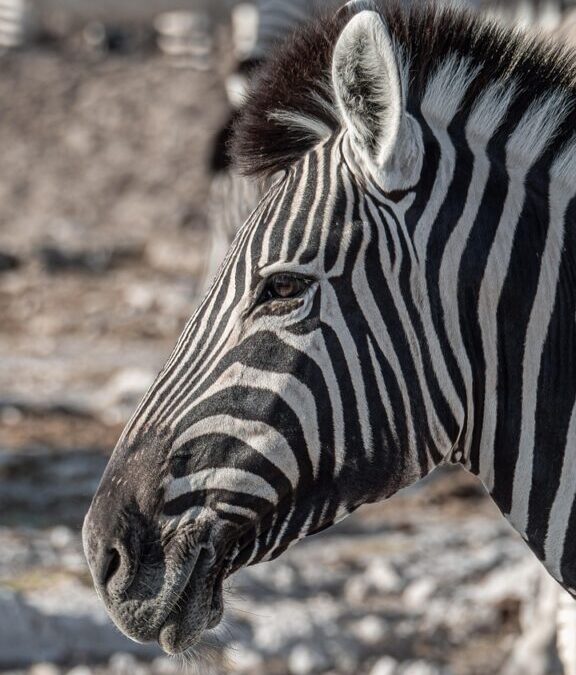“Great Basin Water Cycle Explanation” / Okay, Here’s A Draft…