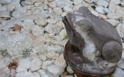 Great Basin Water Cycle | A Desert’s Thirsty Heart: Understanding…