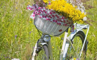 Hydrologic Cycle / Quick Splash Of Info! Imagine A Giant,…