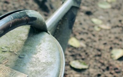 Irrigation Water Solutions / The Great Basin’s Thirsty Secret: Where…