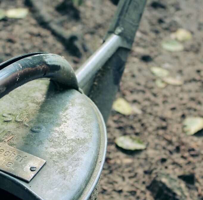 Irrigation Water Solutions / The Great Basin’s Thirsty Secret: Where…