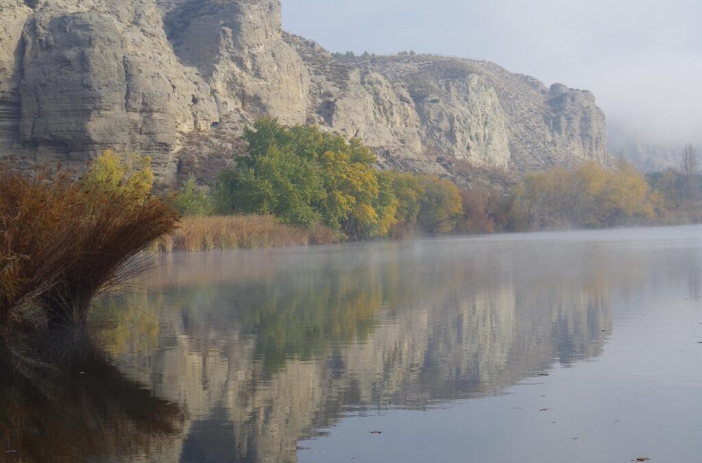 Laguna Salada Water Cycle ~ “`html Laguna Salada’s Thirsty Secret:…