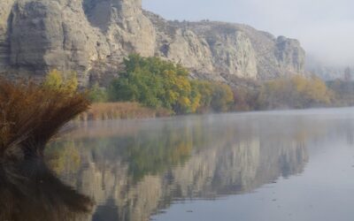 Laguna Salada Water Cycle ~ “`html Laguna Salada’s Thirsty Secret:…