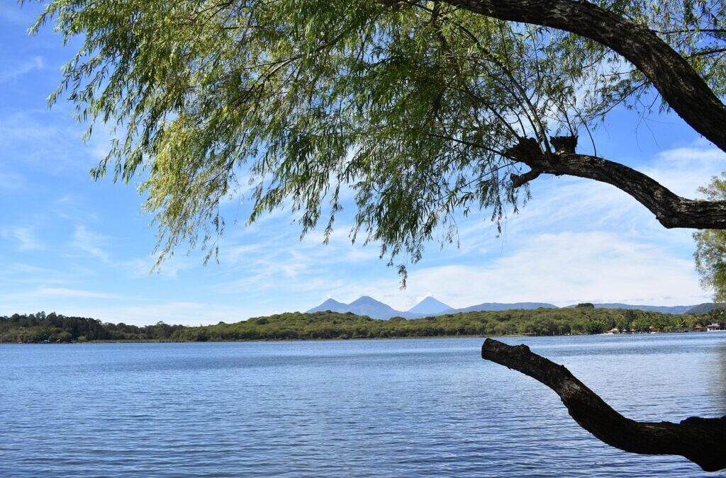 Long-Tail Keywords Related To Laguna Salada Water Supply – The…