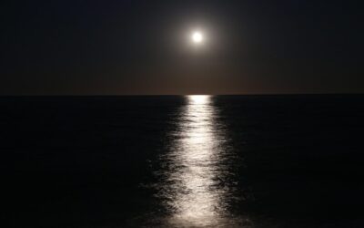 Long-term Water Shortage Management ~ “`markdown Is The Great Basin…