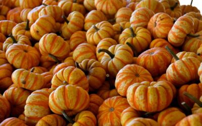 Smart Irrigation Technology For Agriculture ~ Okay, Here’s A Draft…