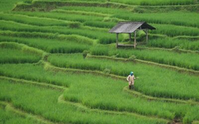 Smart Irrigation Technology For Agriculture ~ “`html Great Basin’s Thirsty…