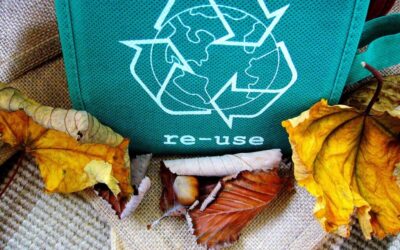 Sustainable Water Cycle Management ~ Okay, Here’s A Short, Informative…