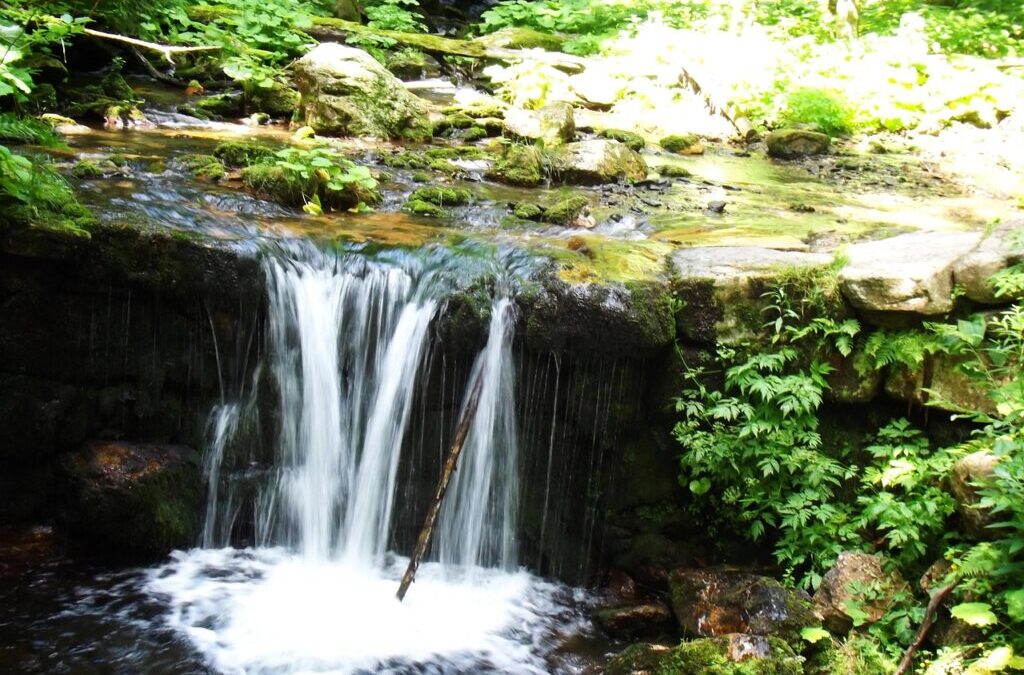 Sustainable Water Management In The Great Basin: Quick Sip: The…