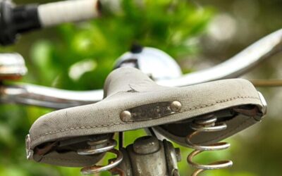 Water Cycle Improvement | The Great Basin’s Thirsty Secret: Where…