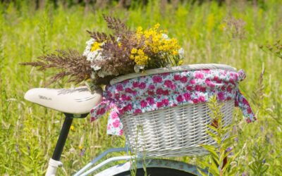 Water Cycle Improvement / The Great Basin’s Thirsty Secret: Understanding…