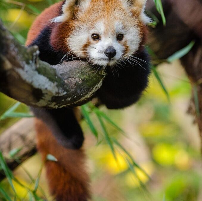 Water Conservation In Laguna Salada – The Mystery Of The…