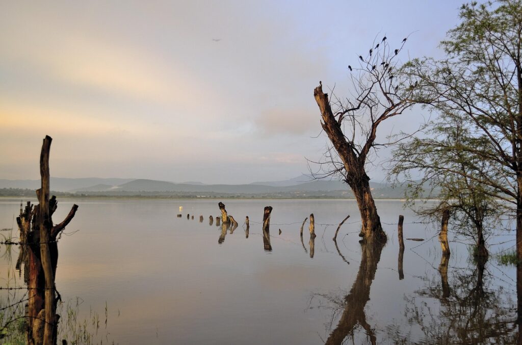 Water Conservation In Laguna Salada | Quick Dive! What’s Up…