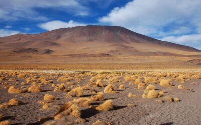 Water Conservation In Laguna Salada » Laguna Salada’s Thirsty Secret:…