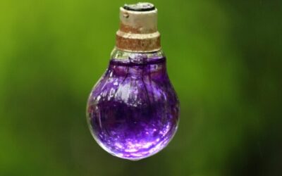 Water Conservation Techniques In The Great Basin: A Quick Glimpse:…