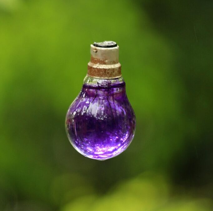 Water Conservation Techniques In The Great Basin: A Quick Glimpse:…