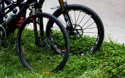 Water Cycle Restoration Projects: “`html The Great Basin’s Thirsty Problem:…